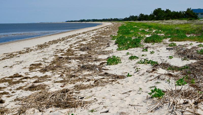 The Bayshore Byway leads to several beaches along the Delaware Bay coastline such as Slaughter Beach.