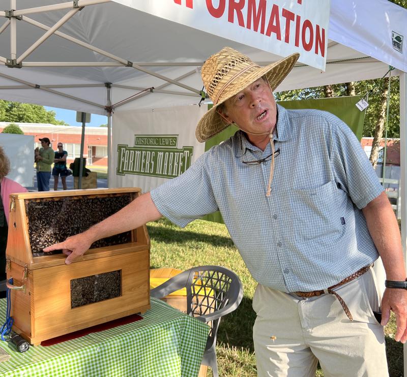 Lewes farmers market to feature pollinator demo June 24