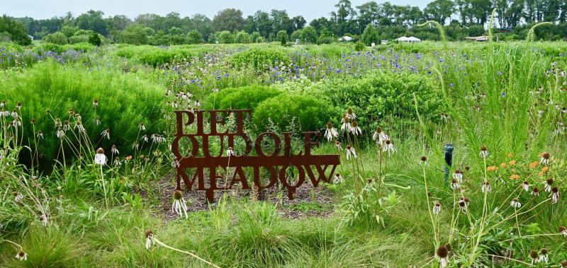 With plans developed by internationally recognized Dutch meadow designer Piet Oudolf, a team of volunteers and experienced horticulturists followed his lead to create the signature meadows.