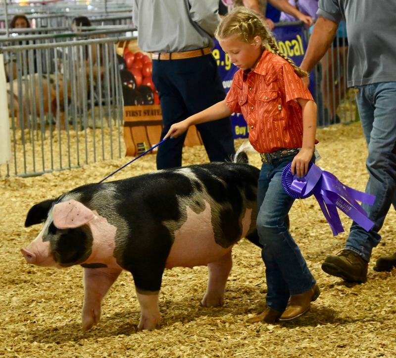Hadleigh Gissly, 8, of Harrington shows off her Best in Breed hog during a July 26 competition. Animal competitions are still the backbone of the annual state fair.