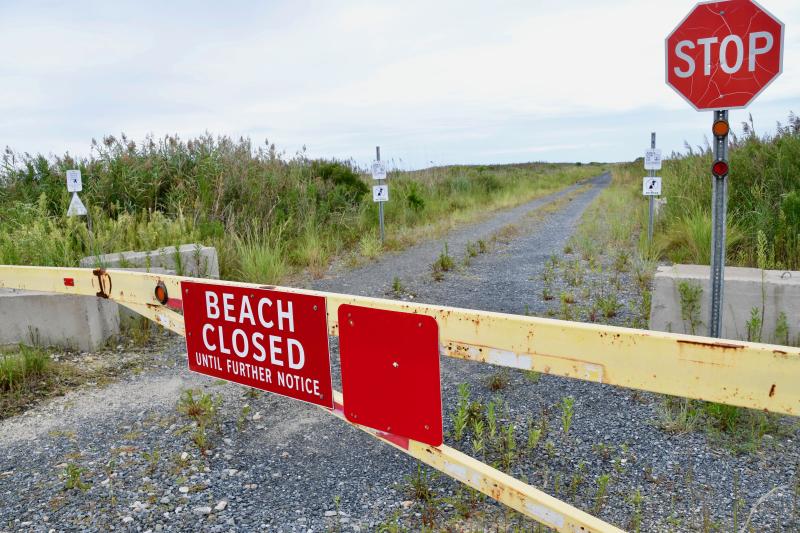 Fowler Beach is off-limits from March to September to protect nesting piping plovers and least terns, both endangered species.