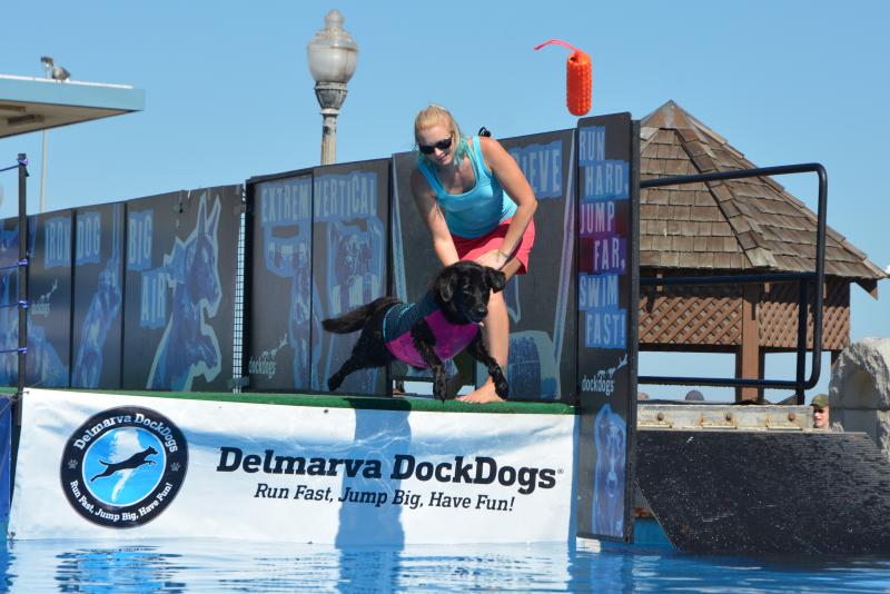 Brandywine Valley SPCA Bark on the Boards returns Oct. 14 Cape Gazette