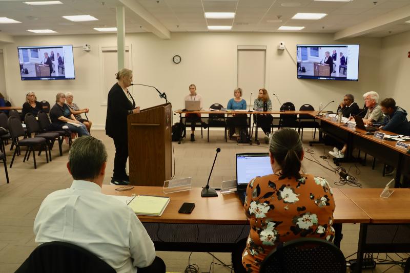 Donovan-Smith resident Carol Parsons makes comments about her experience living in the manufactured home park at the Sept. 25 public hearing.
