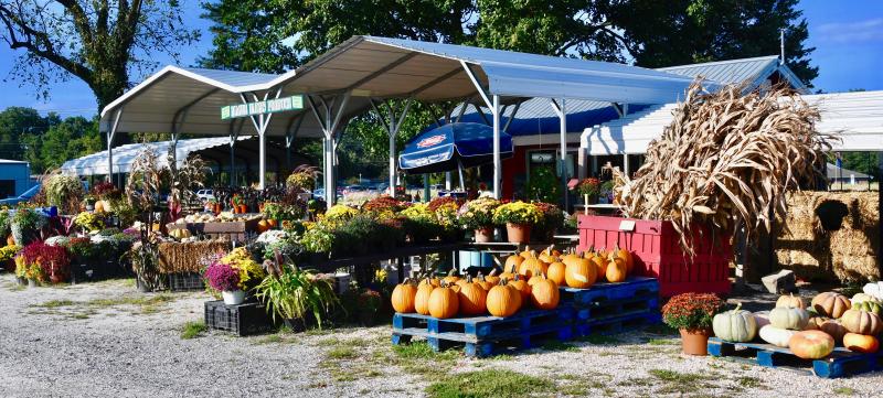 Magee Farms market is located on Wescoats Road near Lewes and features, among many other products, you-pick strawberries and pumpkins.