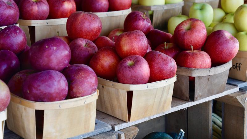 Apples are in season and grown by T.S. Smith & Sons in Bridgeville. Their apple cider and donuts are addictive.