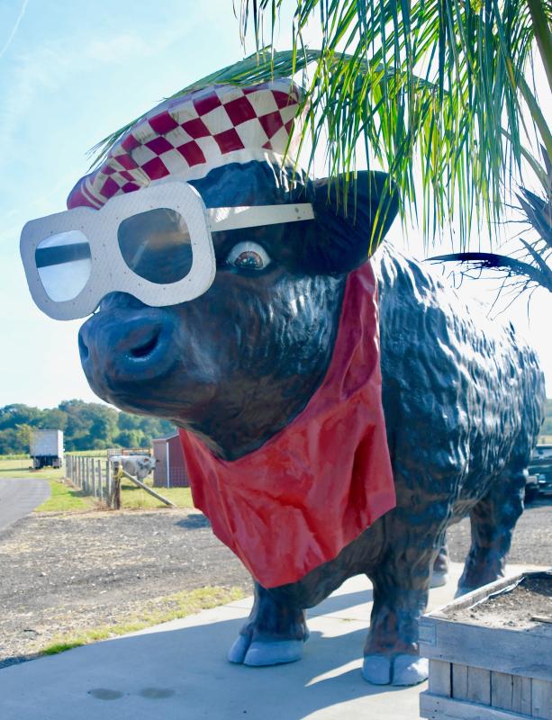 The large bull at Parson’s Farm Produce market is one of the most photographed spots on the farm near Dagsboro.
