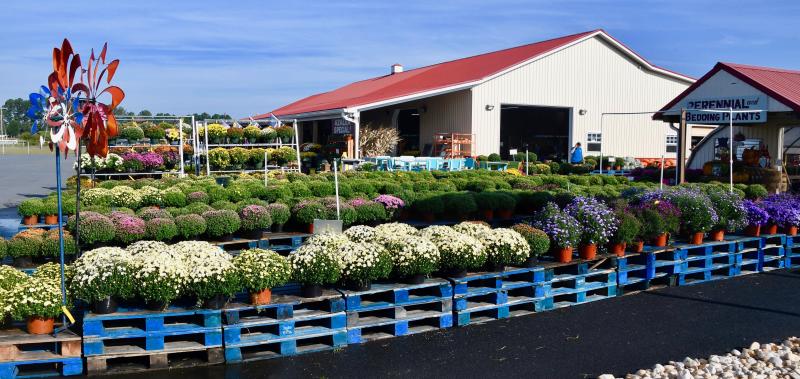 Parson’s Farm Produce Market is on the family farm that also offers several you-pick fruits during their seasons.
