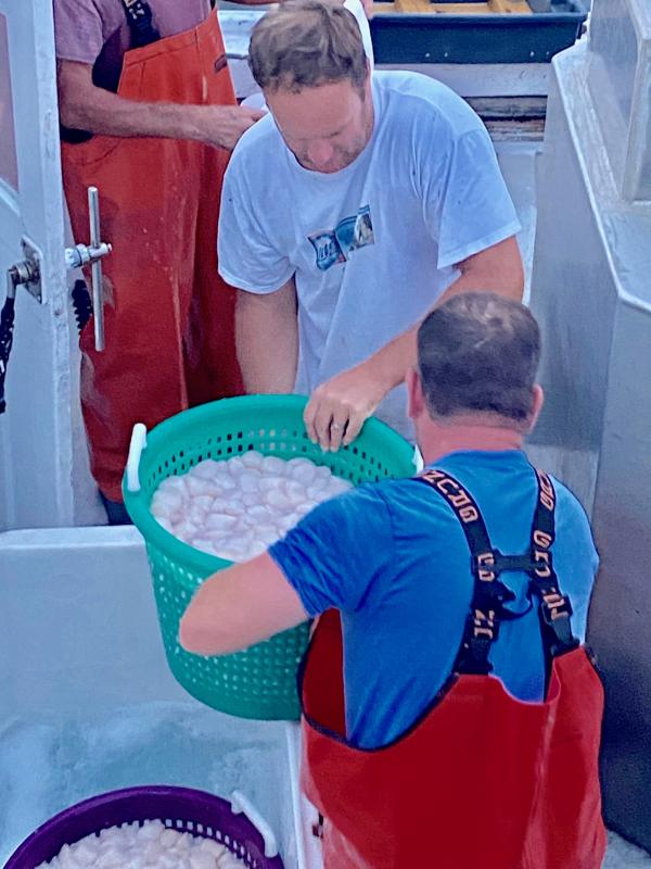 Tim Sage gets a bucket of the finished product from a crew member during a scallops dredging operation. SUBMITTED PHOTO