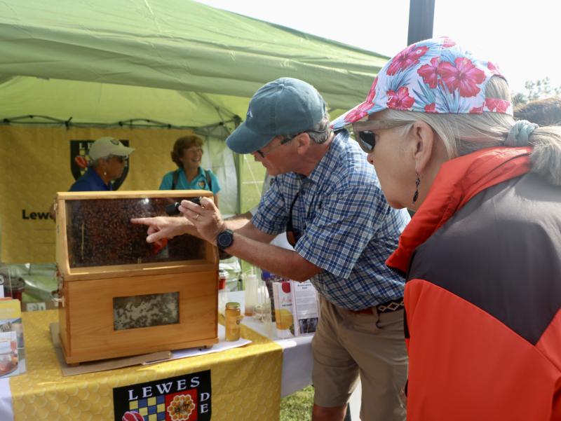 Sumner Crosby of the Lewes Beekeeping Club creates buzz with a lesson in how bees make honey. He gets an “A” for the bee demo.