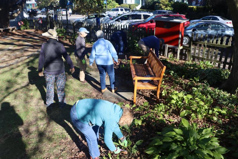 St. Peter’s Weeders at work along the fence on Second Street. The green plants with large leaves are hostas, which they said grow well in the shade.