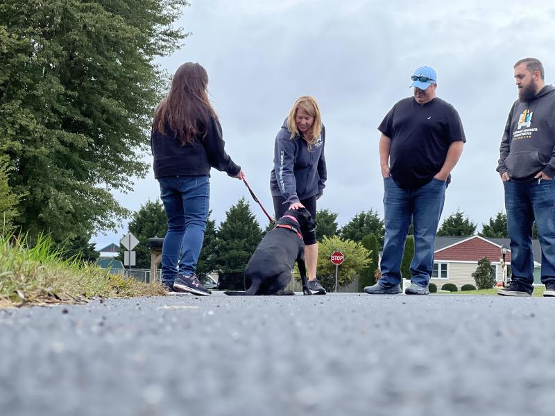Jeanine Porter, Leigh McKinley, Jeff Bush and Trevor Force walk Tessy through the neighborhood behind HAP’s Rehoboth Beach Adoption Center.