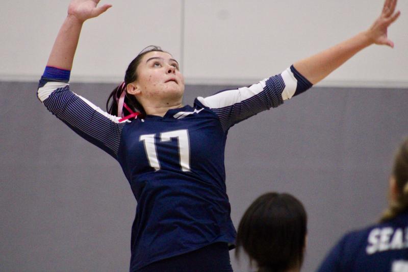 Sussex Academy senior Danica Duncan prepares to serve during the first set of a 3-0 win against Woodbridge on Senior Night.