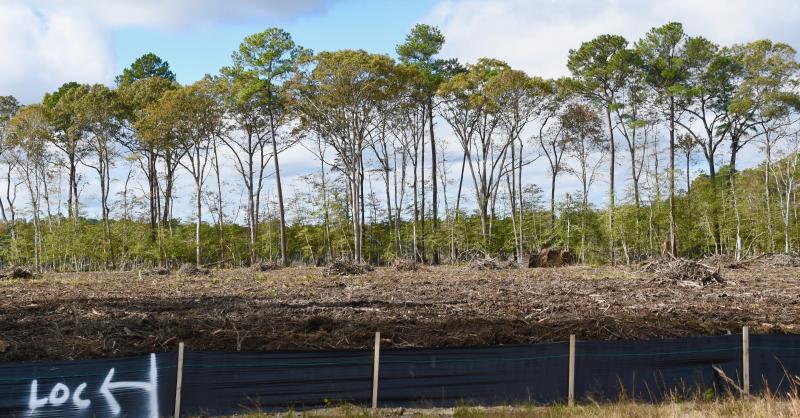 Forest preservation is at the top of the list of concerns for the public in the county’s current subdivision regulations. The ordinance allows a developer or landowner to clear cut a property prior to development.