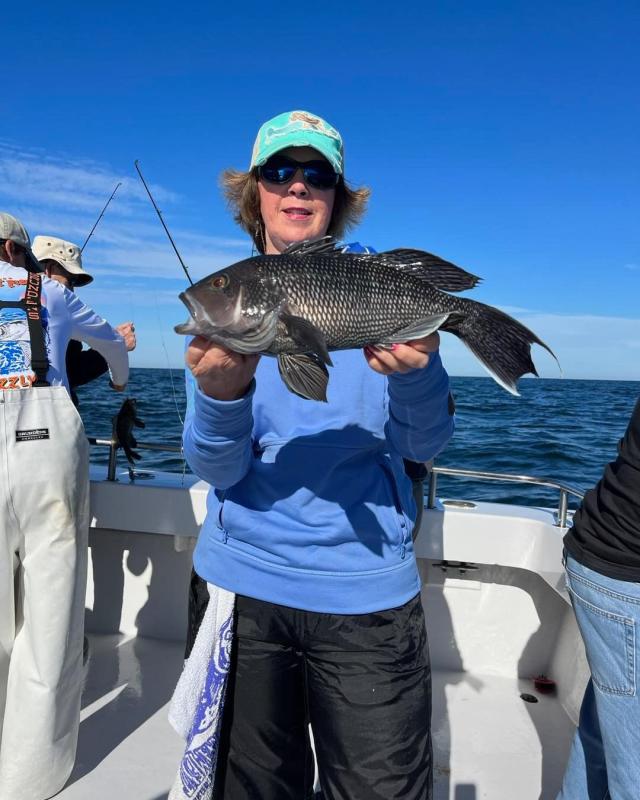 Catching sea bass on the Angler