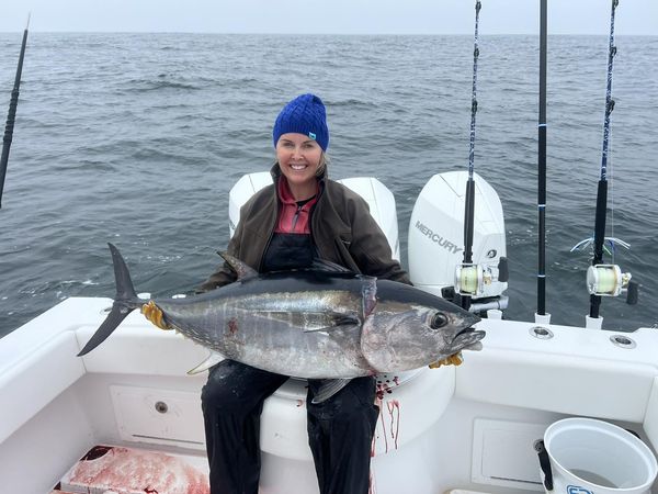 Catching black sea bass with every drop