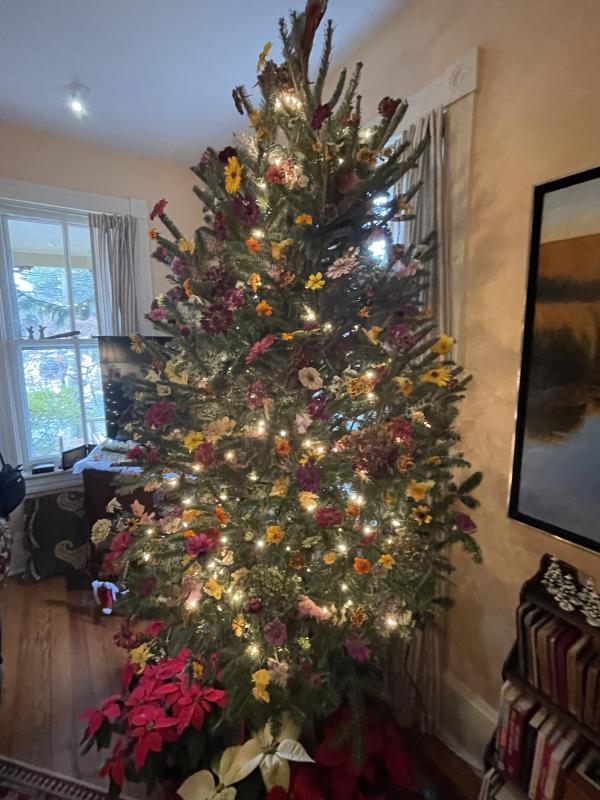 The parlor in the historic Walker home on Kings Highway has Christmas tree decorated with dried flowers from around the property.