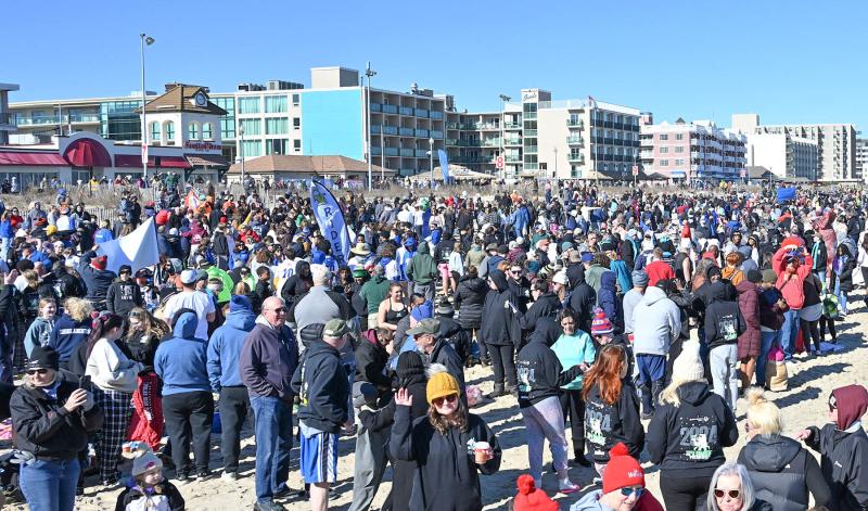 Friends, family and Polar Bears fill the beach at the 33rd annual Lewes Polar Bear Plunge for Special Olympics Delaware.