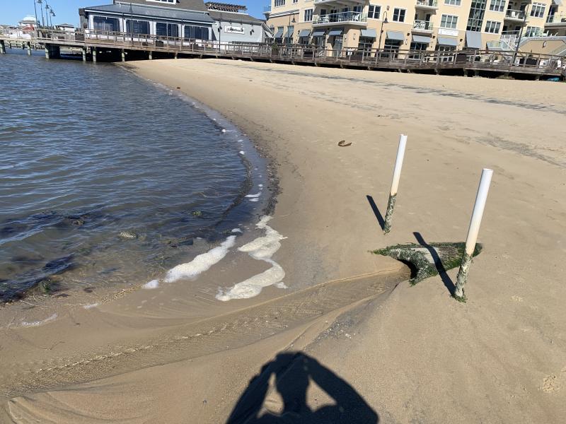 Delaware Department of Natural Resources and Environmental Control has approved a permit for Dewey Business Enterprises to excavate sand from the toe of the beach on Van Dyke Avenue bayside. The removal will expose an outfall pipe that gets clogged with sand. DBE officials say they want to complete the work by April 15. SUBMITTED PHOTO