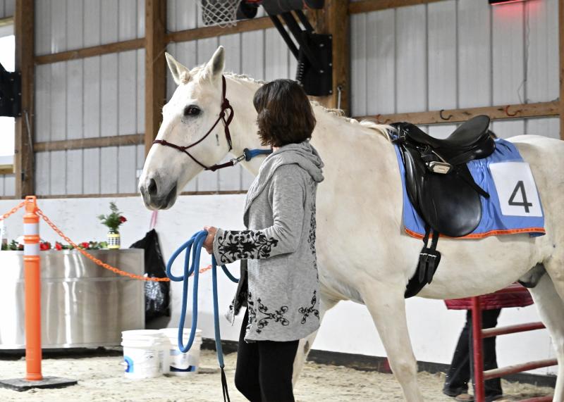 Gulliver’s Travels, or Gully for short, is led into the ring by Kelly Boyer, program director at SDTR.