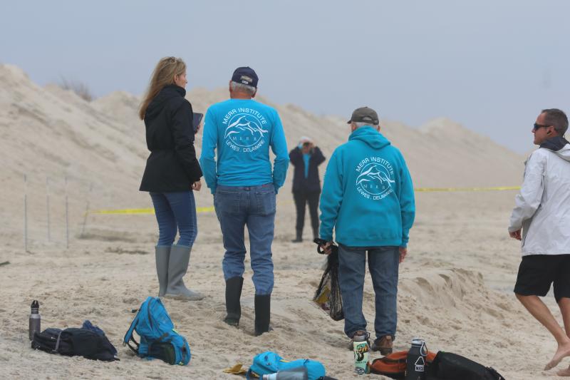 The team from the Marine Education, Research and Rehabilitation Institute was on the scene to assess the whale’s condition.