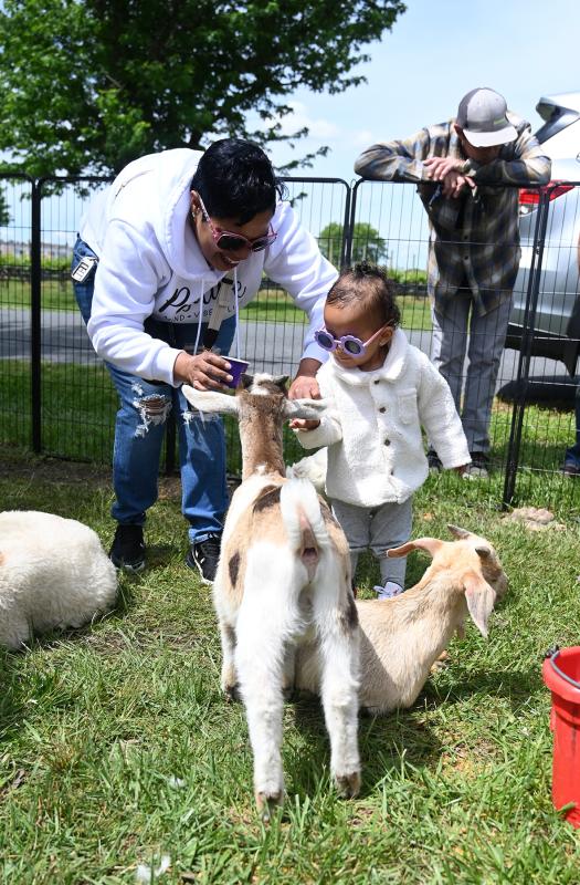 Elena Vanderhorst, 18 months, enjoys feeding the goats with her grandmother Kelly Vanderhorst in The Little Farm’s petting zoo.