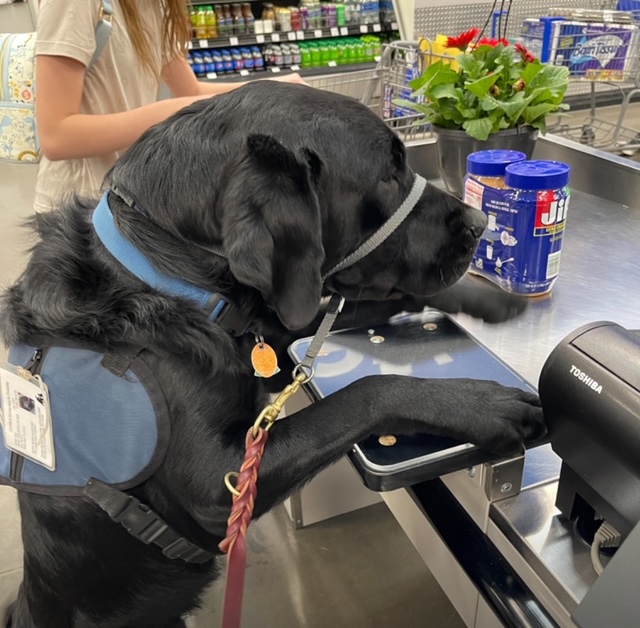 Canine Partners for Life fundraiser set May 11 Cape Gazette