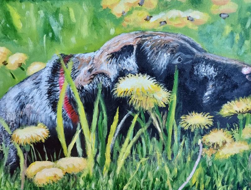 "The Dog" by Curtis Smith, Cape Artists.