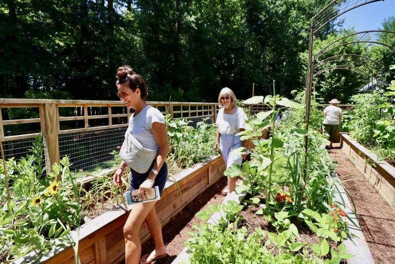 Debbie Walls and Mary Grant stroll through an organic vegetable garden at stop No. 7 on Peregrine Road in Hawkseye.