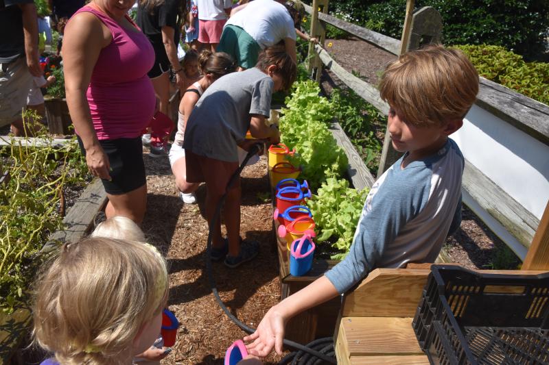 Volunteer Sonny DeEmedio, right, passes off a full watering can while his brother, Arlo, fills more cans with a hose.