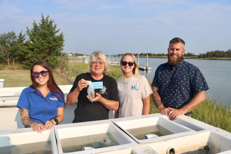 Oyster farmer Carol Friend, second from left, holds a bag of 50,000 seed oysters that she will place in the Inland Bays. Friend is the first farmer to receive the tiny oysters from the University of Delaware’s hatchery in Lewes. Shown are (l-r) Alyssa Campbell, University of Delaware lab coordinator; Carol Friend; Rileigh Hudock, graduate student; and Ed Hale, assistant professor at the University of Delaware’s School of Marine Science. BILL SHULL PHOTOS