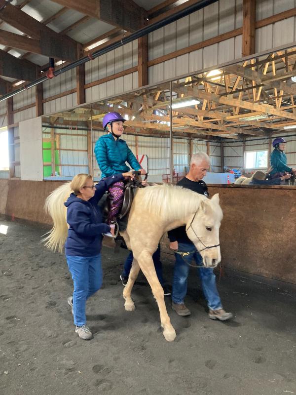 SDTR equine for veterans mini sessions start Sept. 20 | Cape Gazette