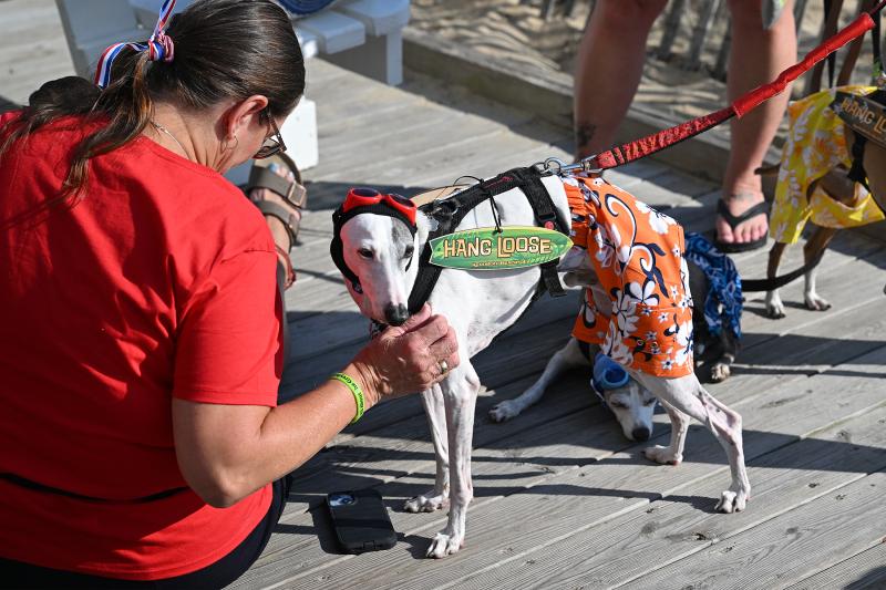 Patty and Jack Glessner’s dog was hangin’ 10 in celebration of surfing being added as an Olympic sport.
