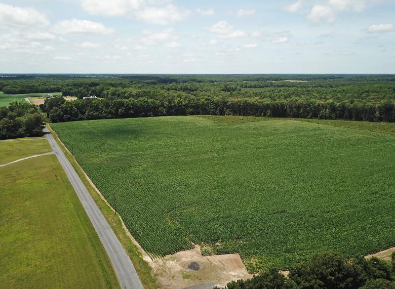 Lockhaven, an 18-home community, is proposed on 81 acres along Round Pole Bridge Road near Milton. NICK ROTH PHOTO