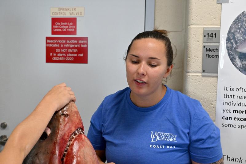 Bethany Brodbeck, a graduate researcher for the University of Delaware, works with the local fishermen to see if they are potentially impacting sharks in Delaware Bay.