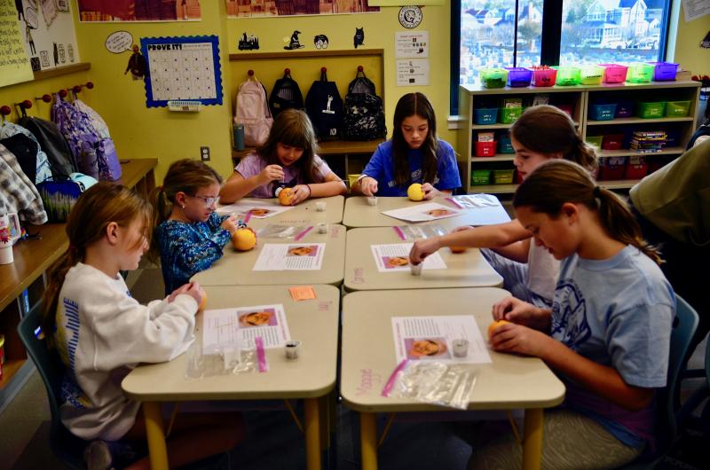 Sitting are (l-r) Scarlett Marshall, Lola Georgules, Era Swiderski, Greta Bender, Lilah Kellman and Piper Matta while they freshen the room up by poking holes in oranges and plugging them with cloves.