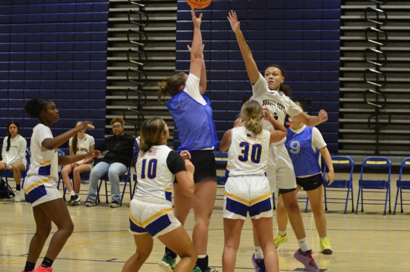 Seahawks sophomore Grayce Glover gets a shot over Knights sophomore Laniah Wright. The two battled in the paint quite a bit.