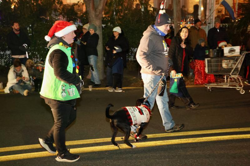 Humane Animal Partners walks some of the dogs that are up for adoption. The organization won an honorable mention award from the judges.