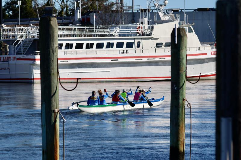 Club members stay in the canal in the winter for safety, but come spring, they will head back into the bay and ocean.