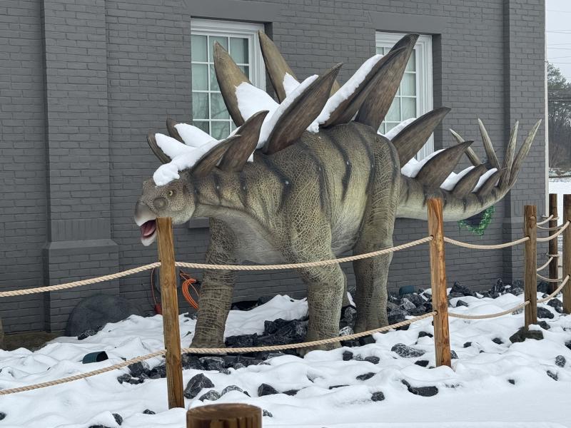 There weren’t any golfers at Nick’s Jurassic Mini Golf today, just some snow-covered prehistoric pals. NICK ROTH PHOTO