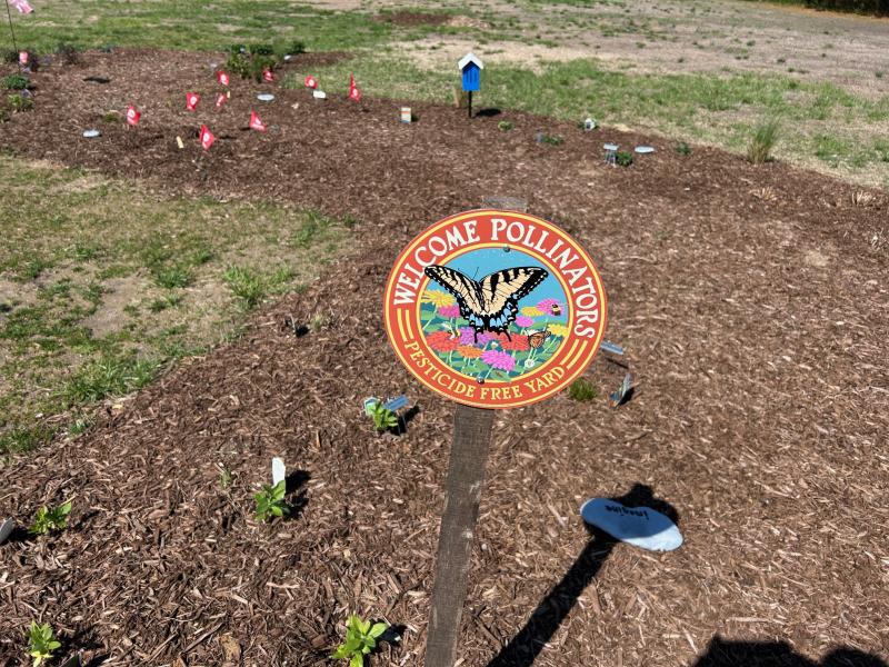 Oak Crest Farms in Lewes has undertaken two community garden projects in an attempt to improve the environment. The first involved mini-forests of trees and shrubbery that were funded by a state grant. The second is a pollinator garden that was self-funded by the community. Oak Crest Farms will host an open garden event from 12 to 3 p.m., Saturday, April 26, to allow people to visit the gardens. RYAN MAVITY PHOTOS