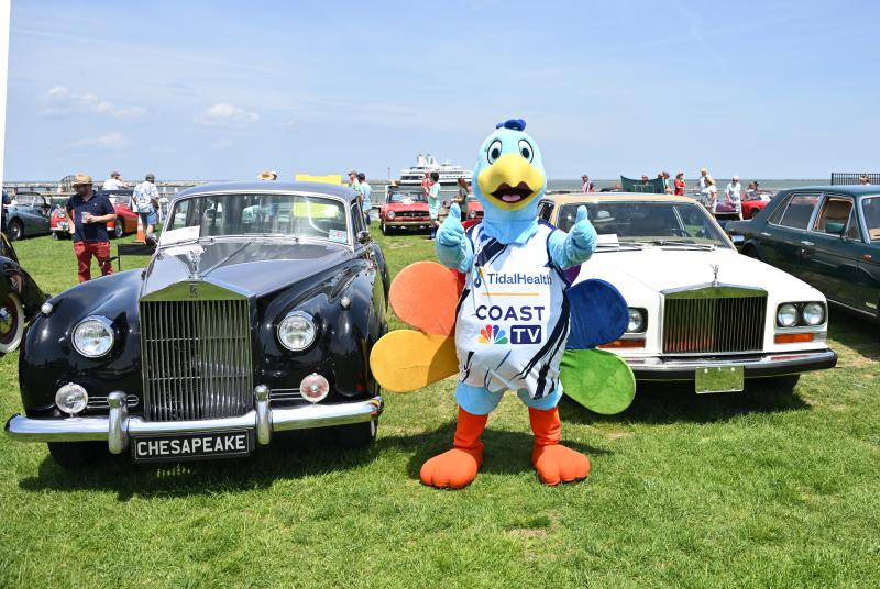 Coast TV’s Petey the peacock stands between a 1962 Rolls-Royce, left, owned by Jeffrey Medved of Easton, Md., and a 1985 Rolls owned by Andrew Nydegger of Douglassville, Pa.