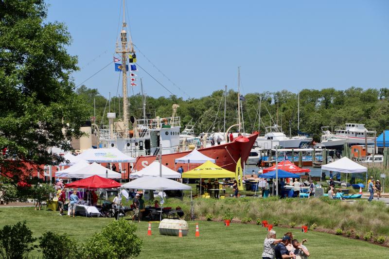 The Lightship Overfalls dominates the view in Canalfront Park during Maritime Day. The event brought a host of vendors to the park.