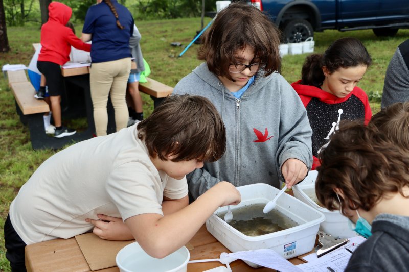 Ryan Burk, left, and Damianna Clark search a container for some of the creatures found in Silver Lake.