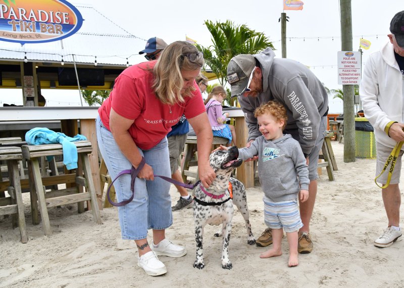 Archer Bortner, 3, and his dad Brent from York, Pennsylvania gets to know Pepper Anne with her foster Shannon White Evans.