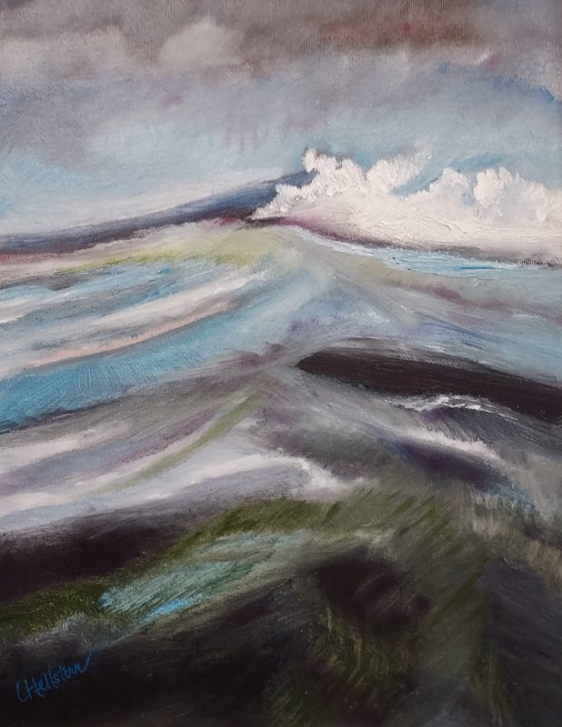 Cape Artists’ display includes work by new members