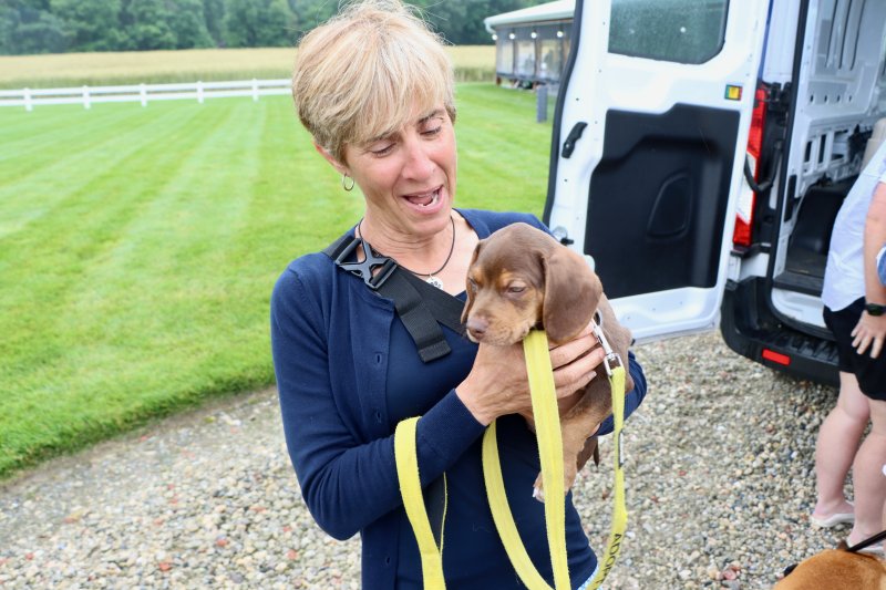 Dana MacElrevey holds Marshall, one of the puppies at HAP’s Rehoboth Beach shelter currently looking for a forever home.