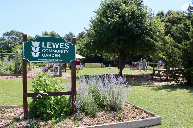 The Lewes Community Garden on Park Road was on this year’s tour. The garden is tended by volunteers who manage their own individual plots.