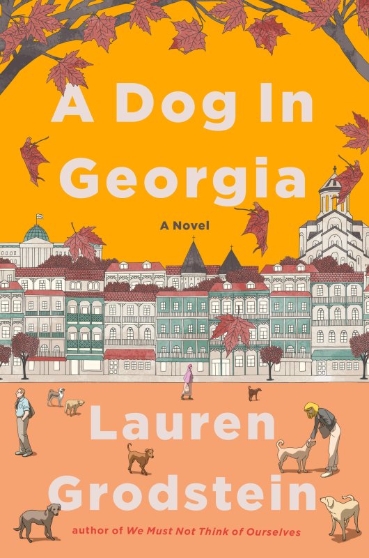 Author Lauren Grodstein to speak at Lewes library Aug. 7