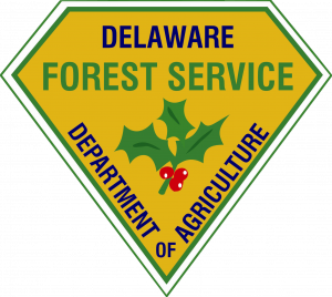 Delaware sending three-man crew to Colorado wildfire