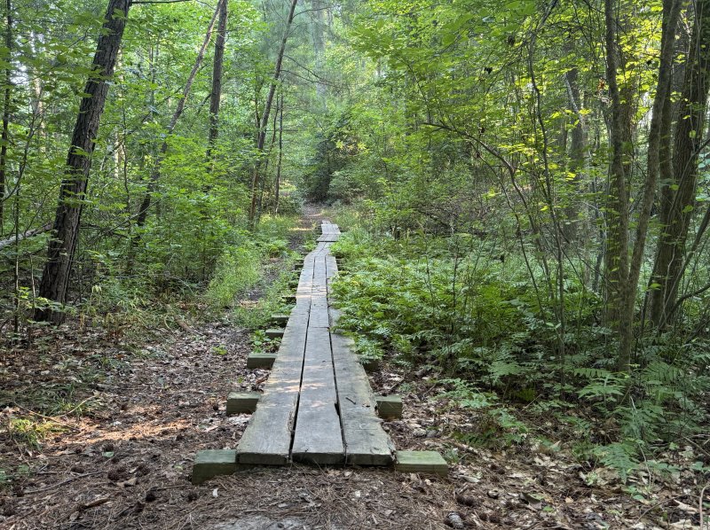 Representatives of the Delaware Center for the Inland Bays and The Nature Conservancy spoke about recent successes and continuing challenges during a July 15 meeting of the Sussex Preservation Coalition. This is a trail in the McCabe Nature Preserve near Milton. The preserve is owned and maintained by The Nature Conservancy. NICK ROTH PHOTO